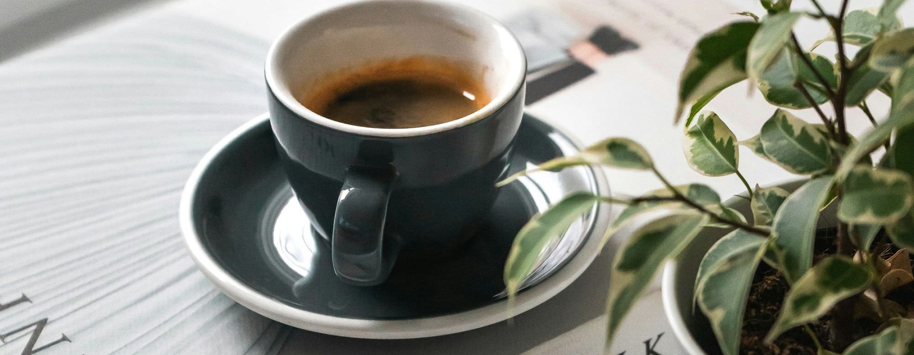 A coffee table with a book, cup of espresso on a saucer, and a plant.